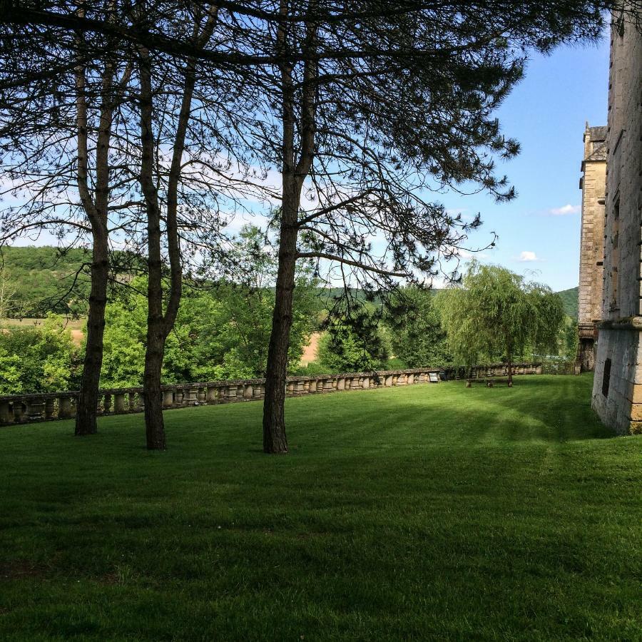 Chateau De Sauveboeuf Aubas Екстер'єр фото